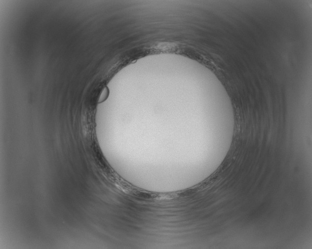 X0000052580236200507010921