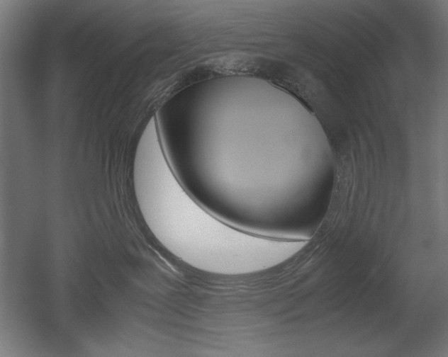 X0000052580239200507010921