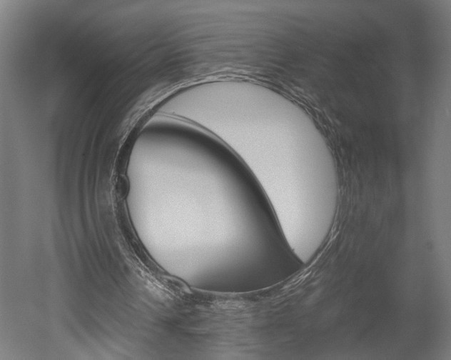 X0000052580242200507010921