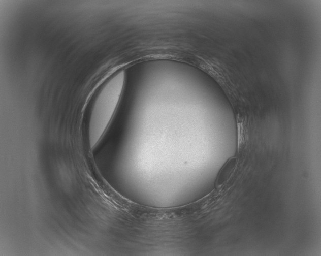 X0000052580243200507010921