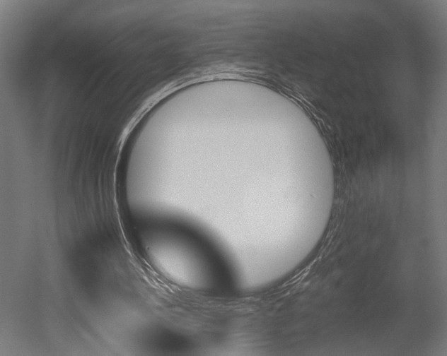 X0000052580244200507010921