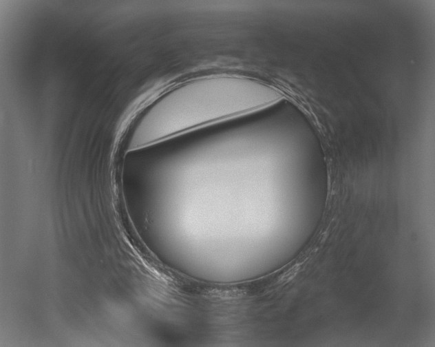 X0000052580245200507010921