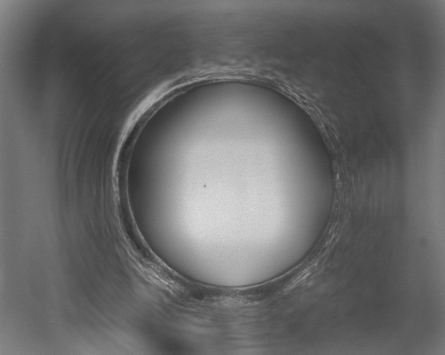 X0000052580246200507010921