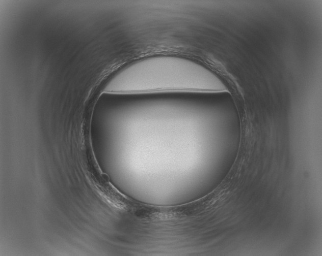 X0000052580250200507010921