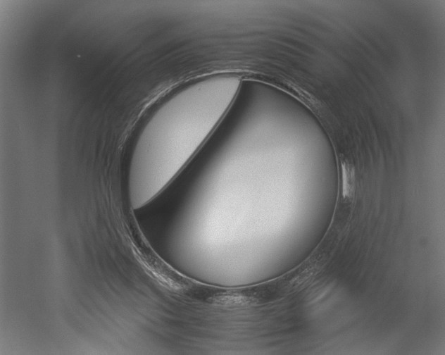 X0000052580253200507010921