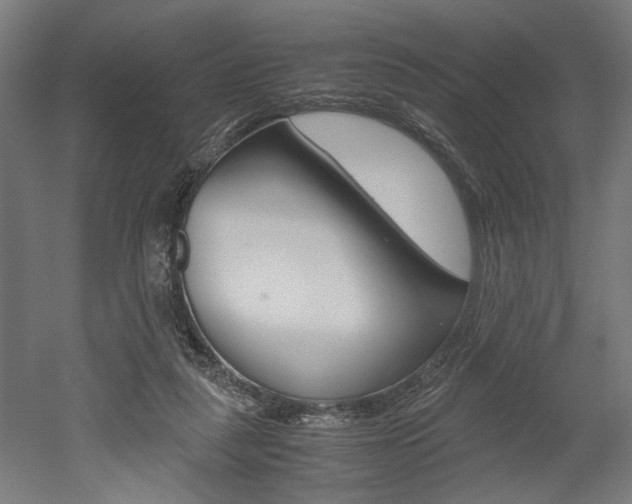 X0000052580259200507010921