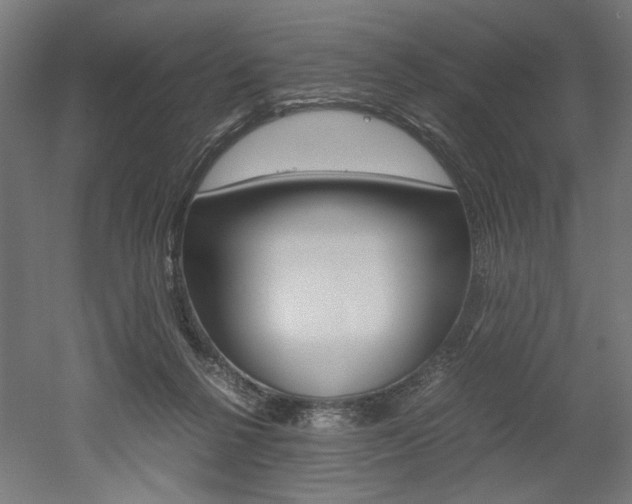 X0000052580264200507010921