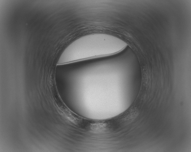X0000052580266200507010921