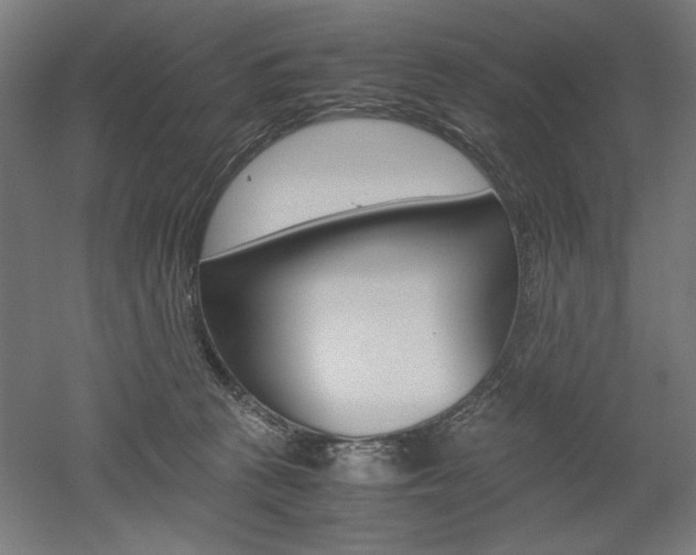 X0000052580273200507010921