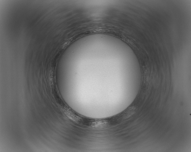 X0000052580274200507010921