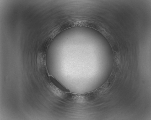 X0000052580276200507010921