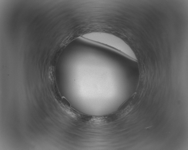 X0000052580280200507010921
