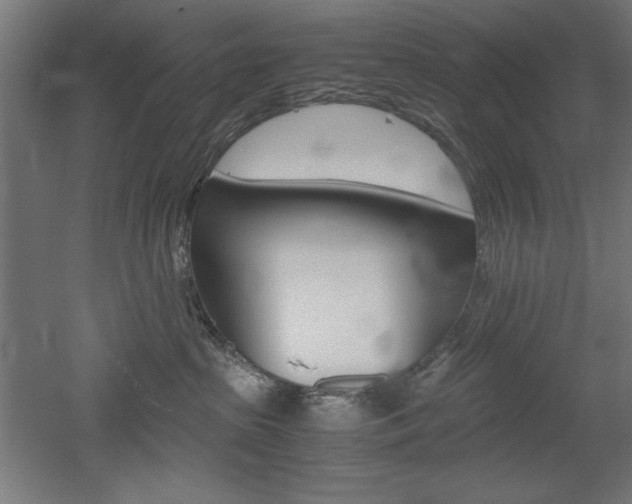 X0000052580285200507010921