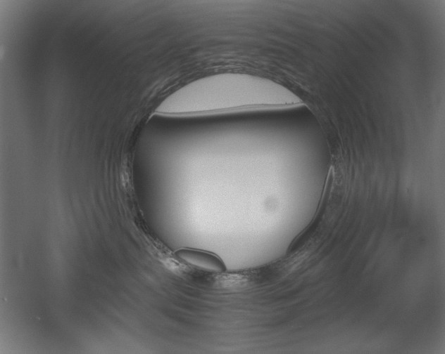 X0000052580287200507010921