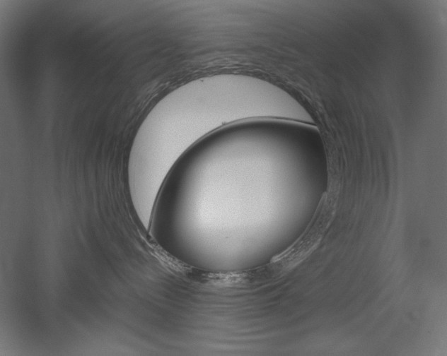 X0000052580288200507010921