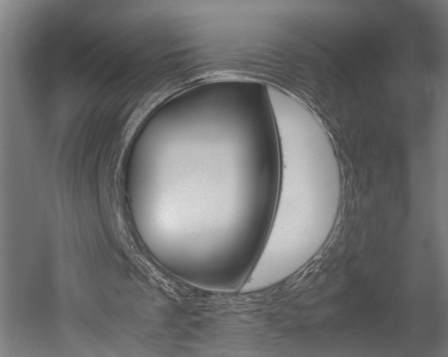 X0000052580289200507010921