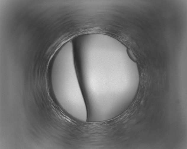 X0000052580290200507010921