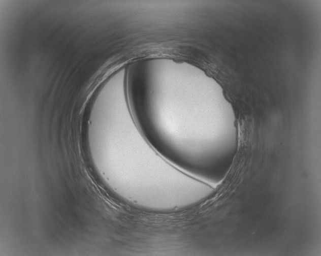 X0000052580291200507010921