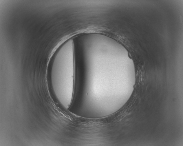 X0000052580292200507010921