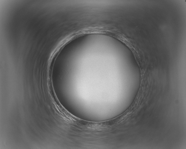 X0000052580293200507010920