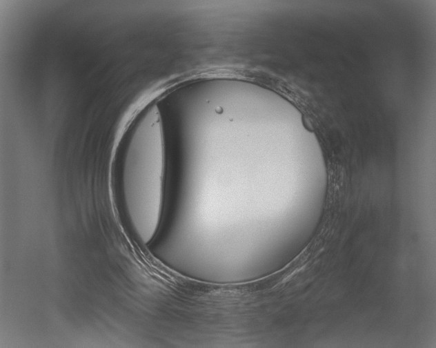 X0000052580294200507010920