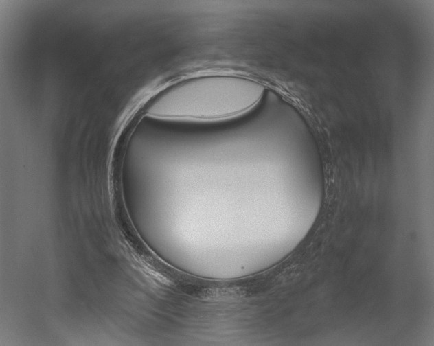 X0000052580296200507010920