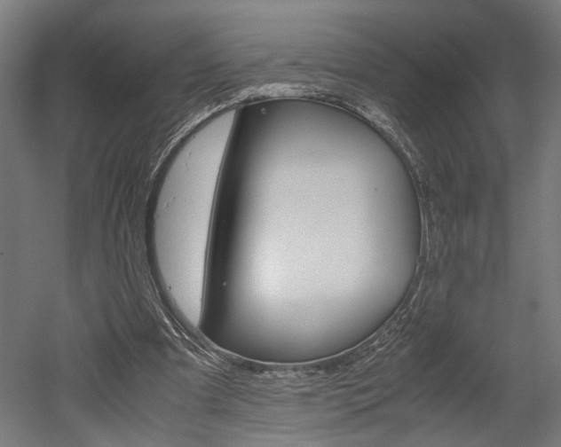 X0000052580297200507010920