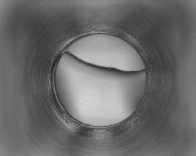 X0000052580298200507010920
