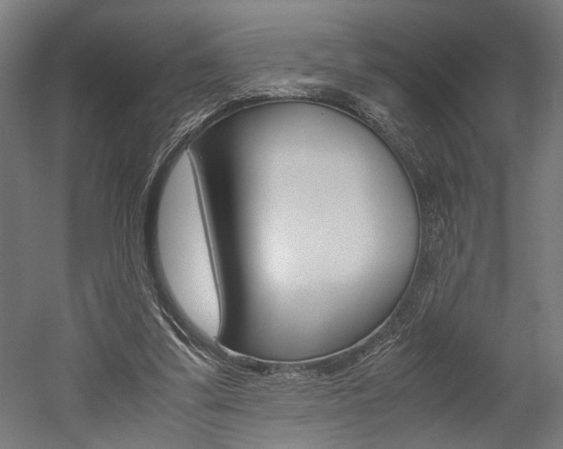 X0000052580299200507010920