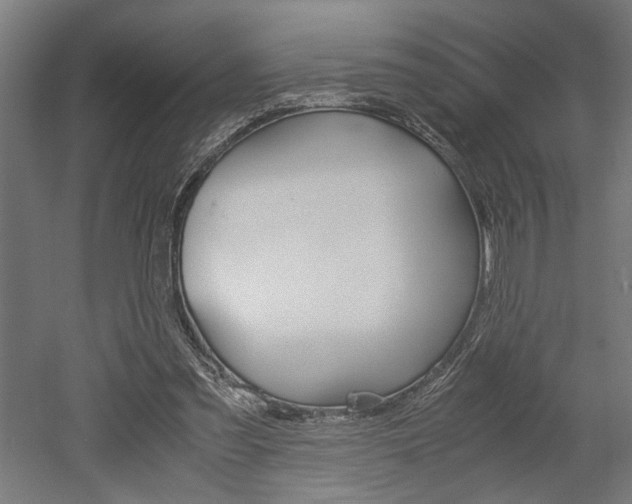 X0000052580301200507010920