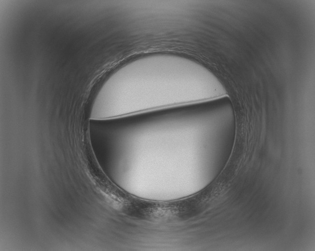 X0000052580303200507010920