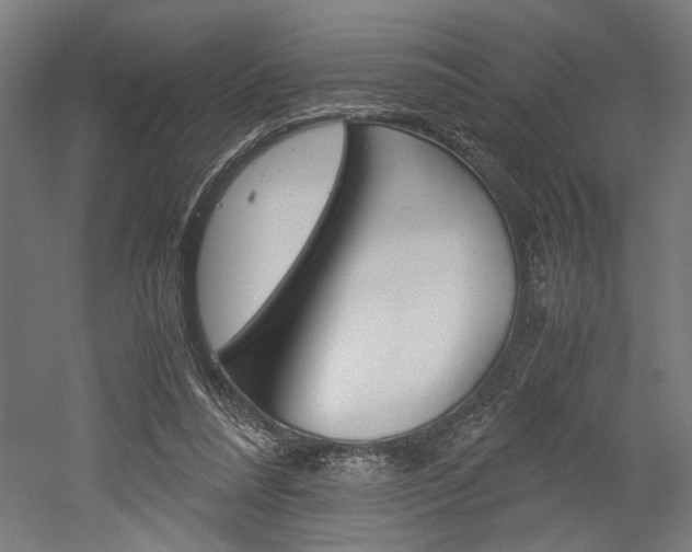 X0000052580304200507010920