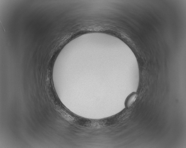 X0000052580305200507010920