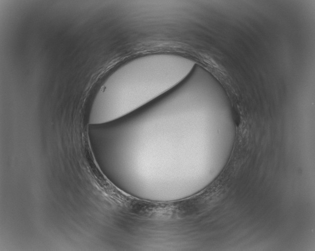 X0000052580306200507010920