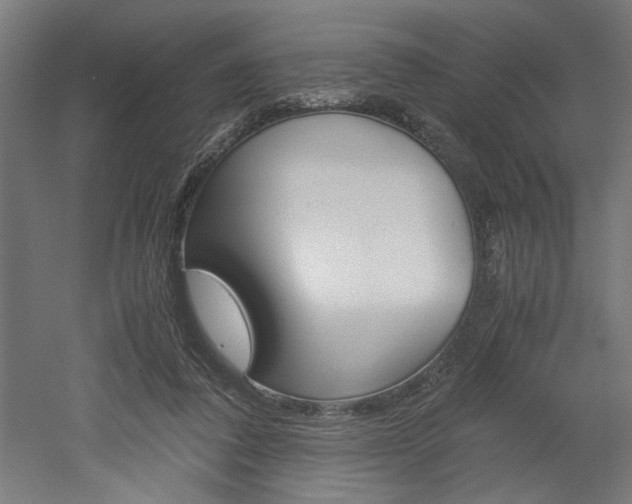 X0000052580308200507010920