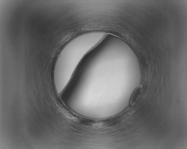 X0000052580309200507010920