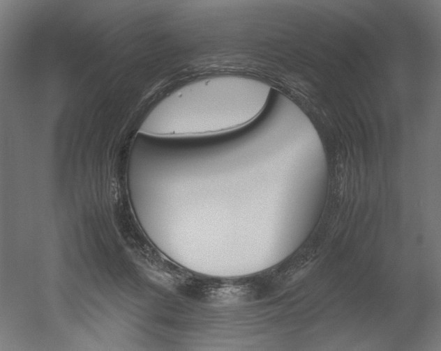 X0000052580312200507010920