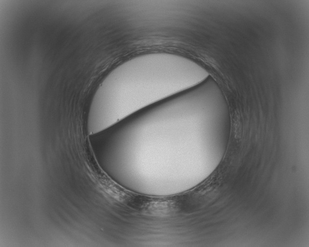 X0000052580314200507010920