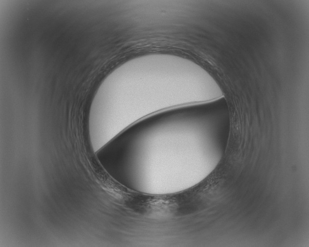 X0000052580315200507010920