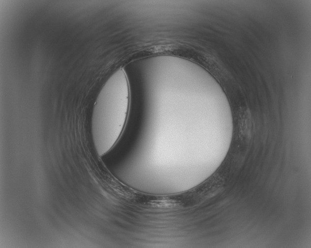 X0000052580316200507010920