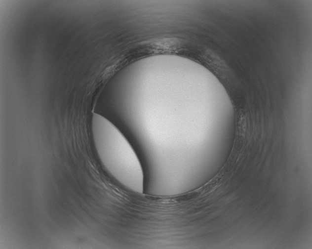 X0000052580318200507010920