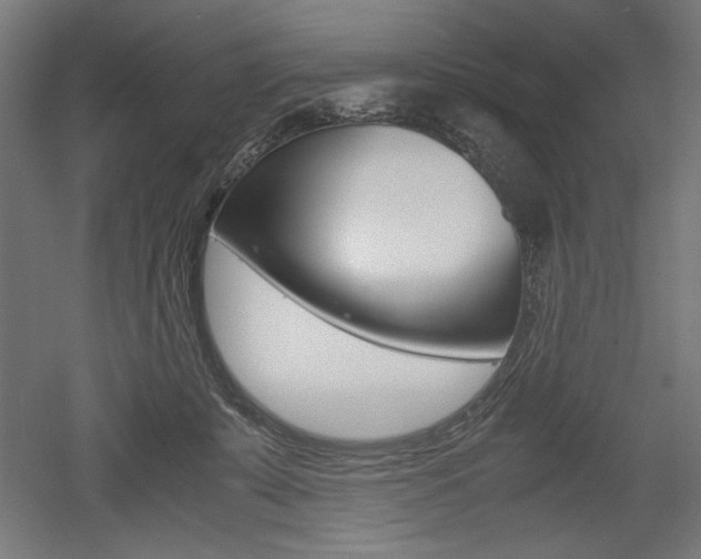 X0000052580319200507010920