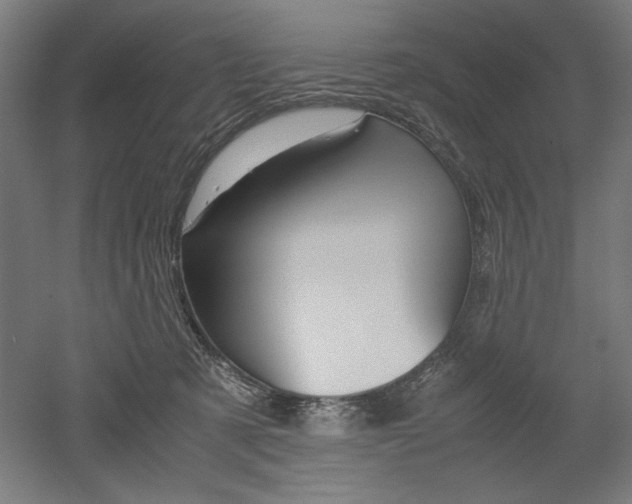 X0000052580321200507010920