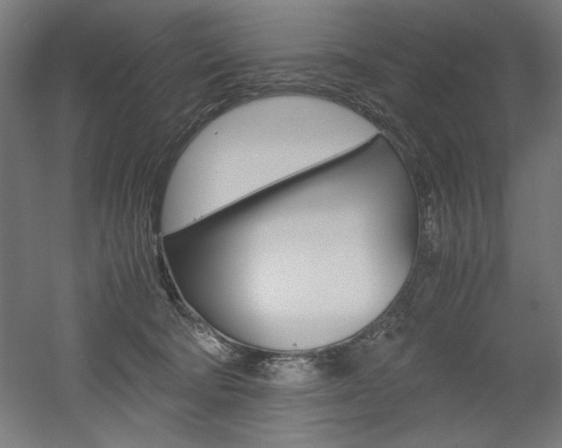 X0000052580322200507010920