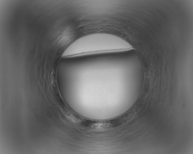 X0000052580323200507010920