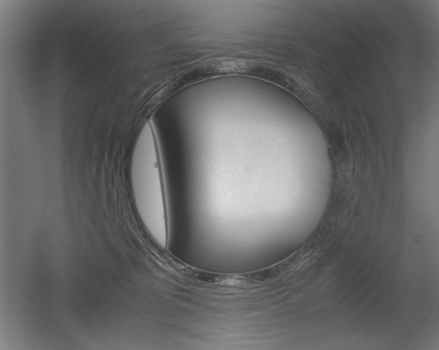 X0000052580325200507010920