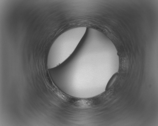 X0000052580326200507010920