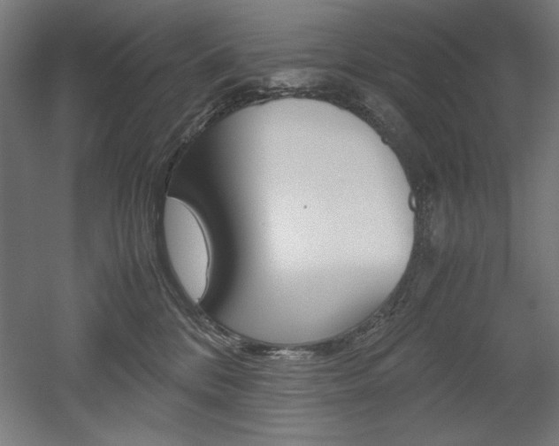 X0000052580328200507010920