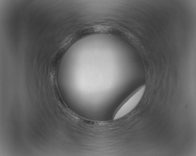 X0000052580329200507010920