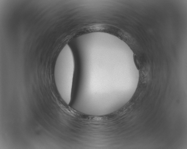 X0000052580330200507010920
